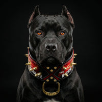 "The Incredibullz" Royalty Collar