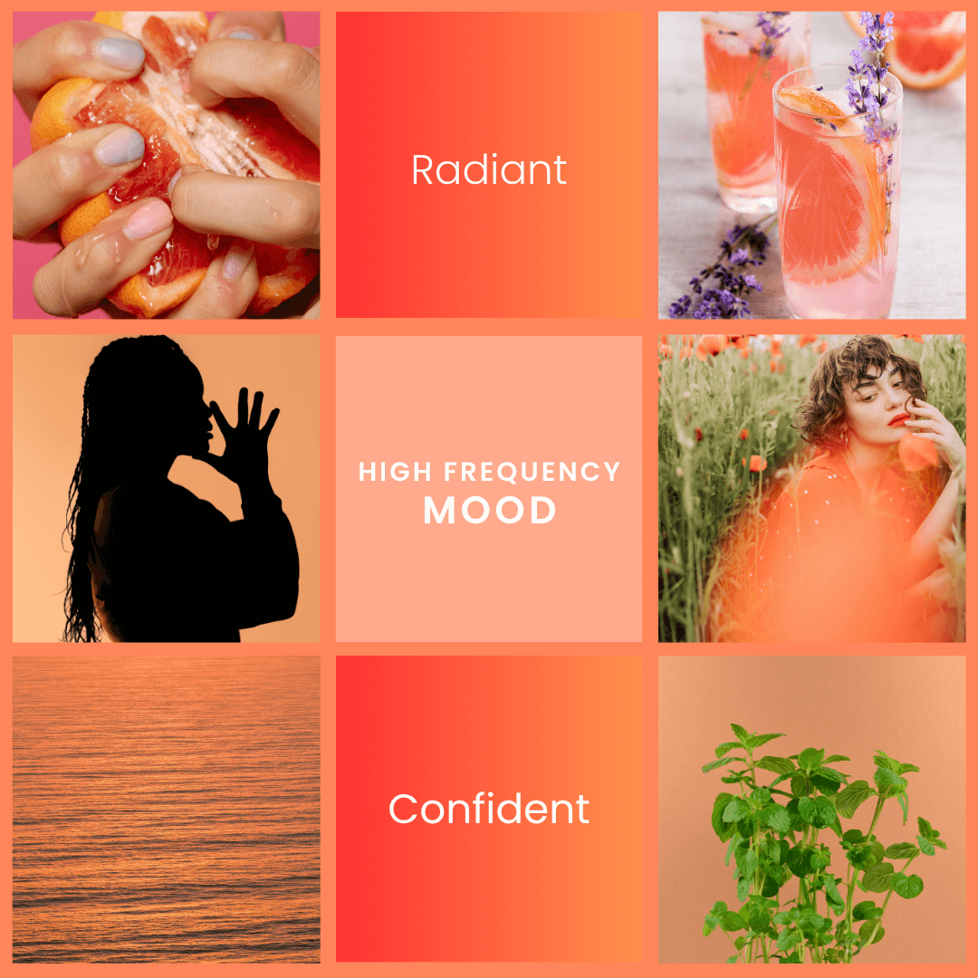 High Frequency – Grapefruit & Mint Room Spray - BIG FRENCHIES