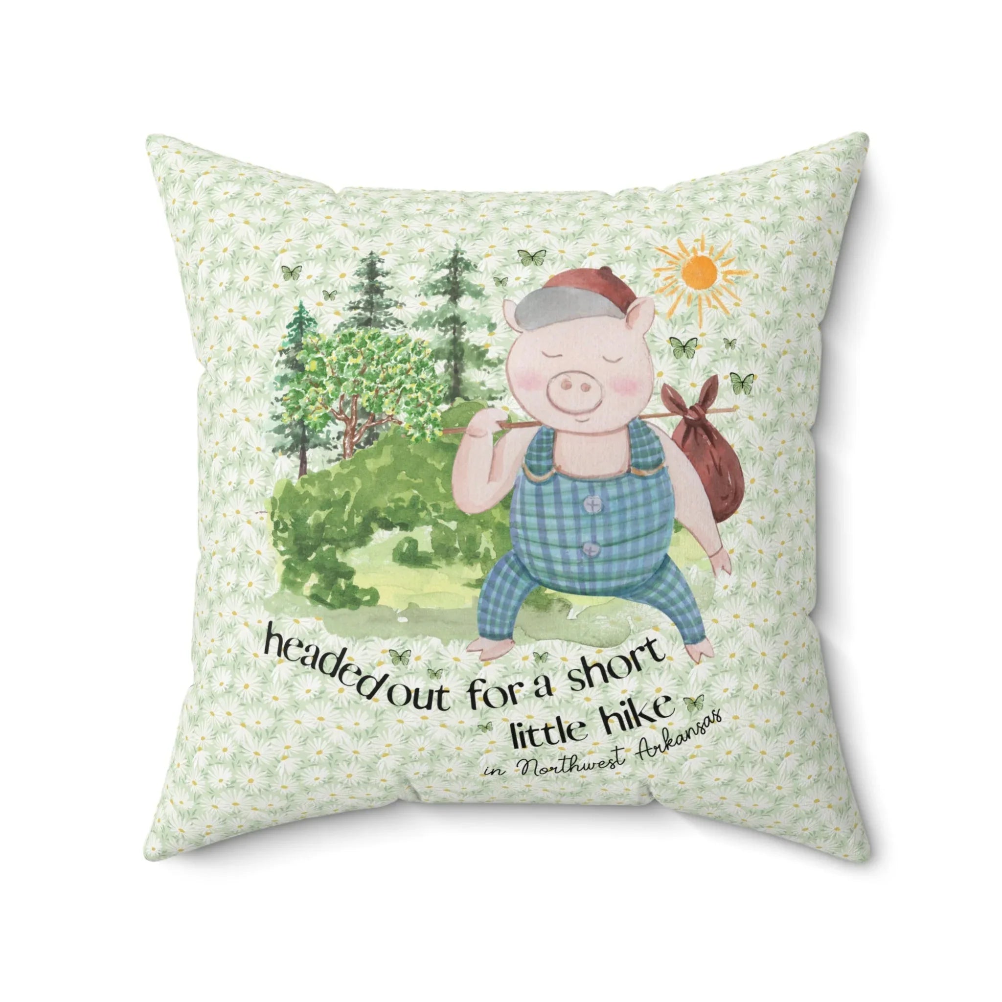 Hiking in Northwest Arkansas: Pillow - BIG FRENCHIES