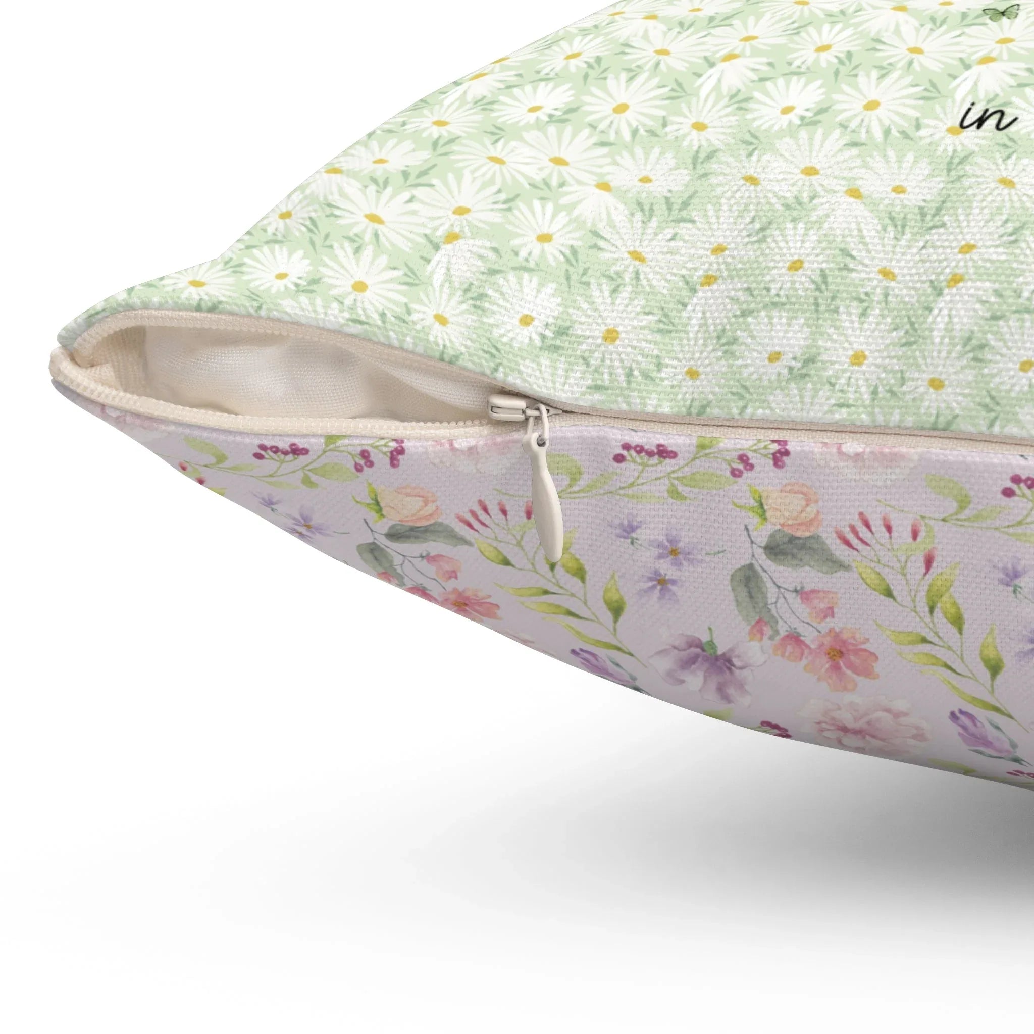 Hiking in Northwest Arkansas: Pillow - BIG FRENCHIES