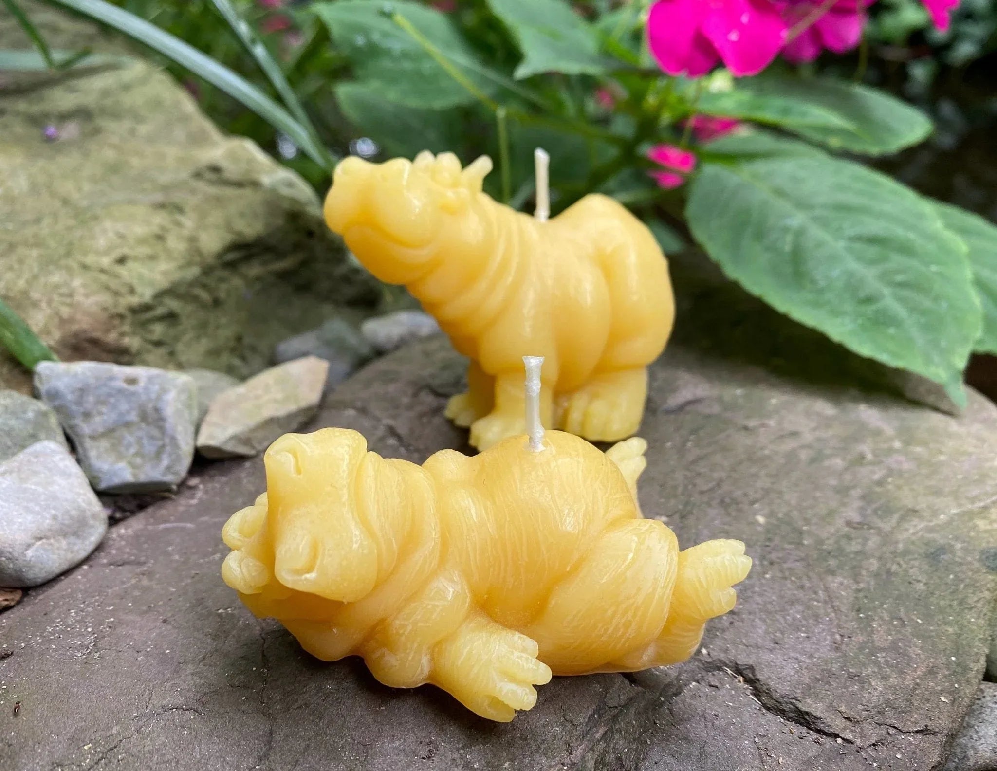 Hippo Buddies Beeswax Candles - BIG FRENCHIES