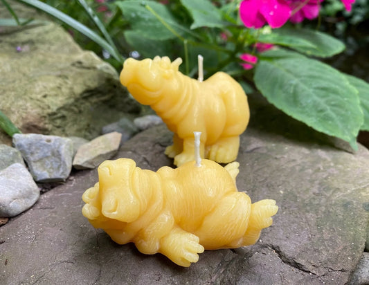 Hippo Buddies Beeswax Candles - BIG FRENCHIES