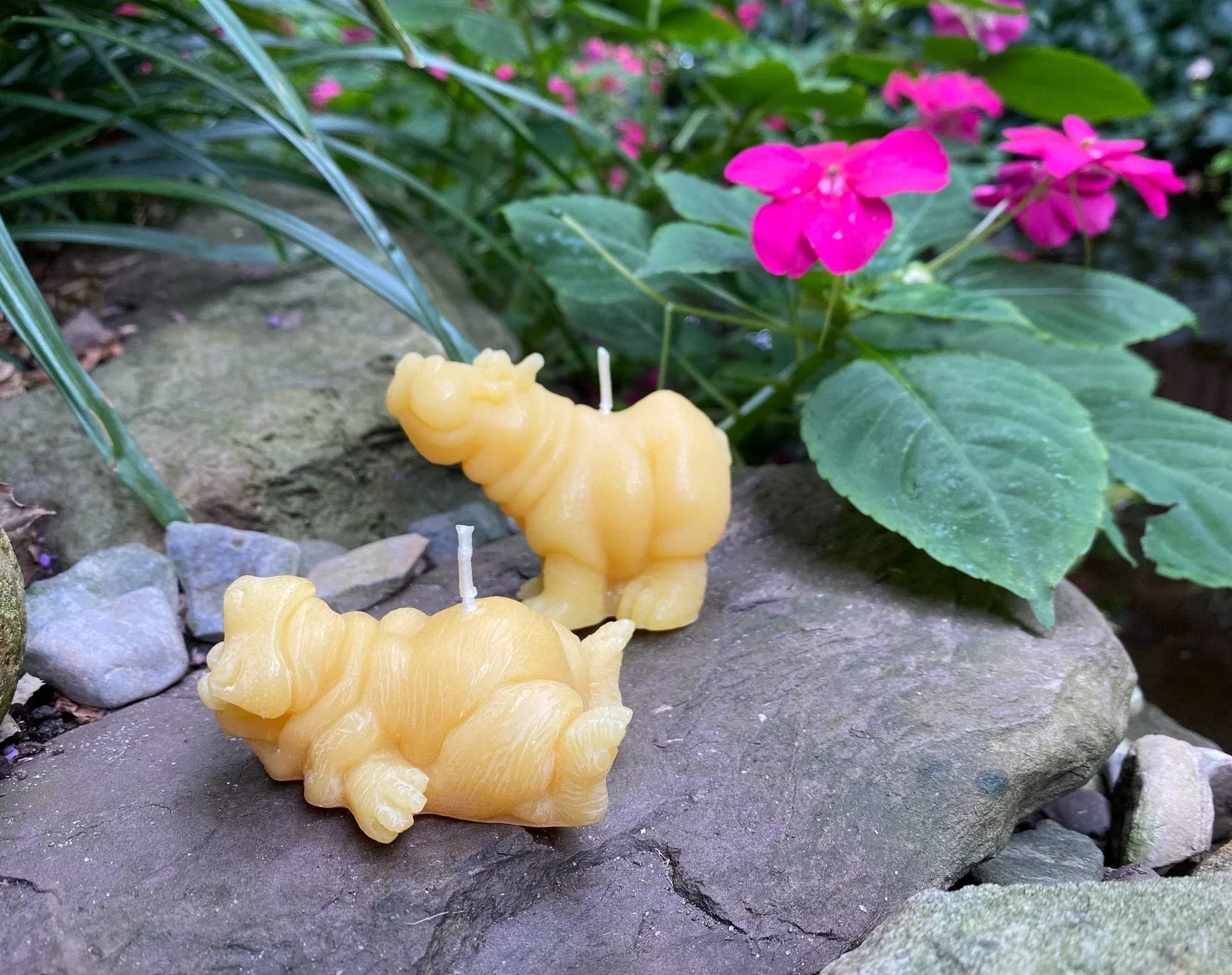 Hippo Buddies Beeswax Candles - BIG FRENCHIES