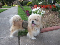 Holster Leash (Made in USA)