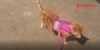 Holster Leash (Made in USA)