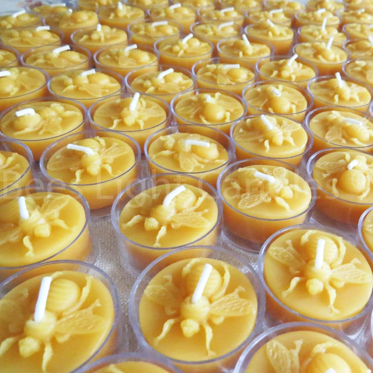 Honey Bee Tealight Beeswax Candles - BIG FRENCHIES