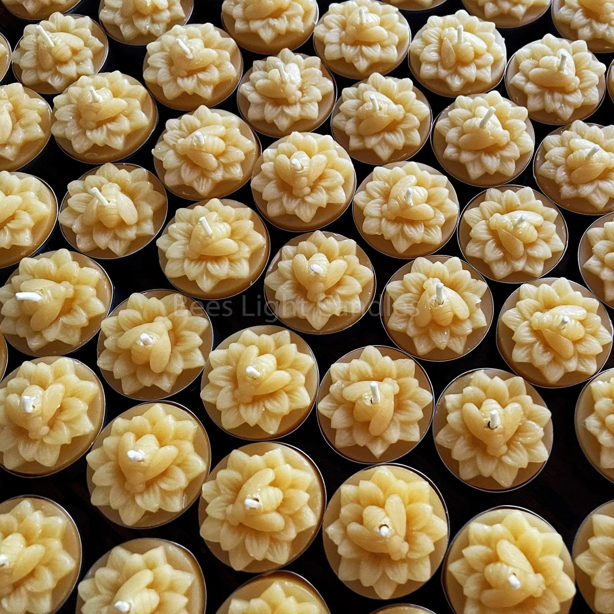 Honeybee Flower Beeswax Tealight Candles - BIG FRENCHIES