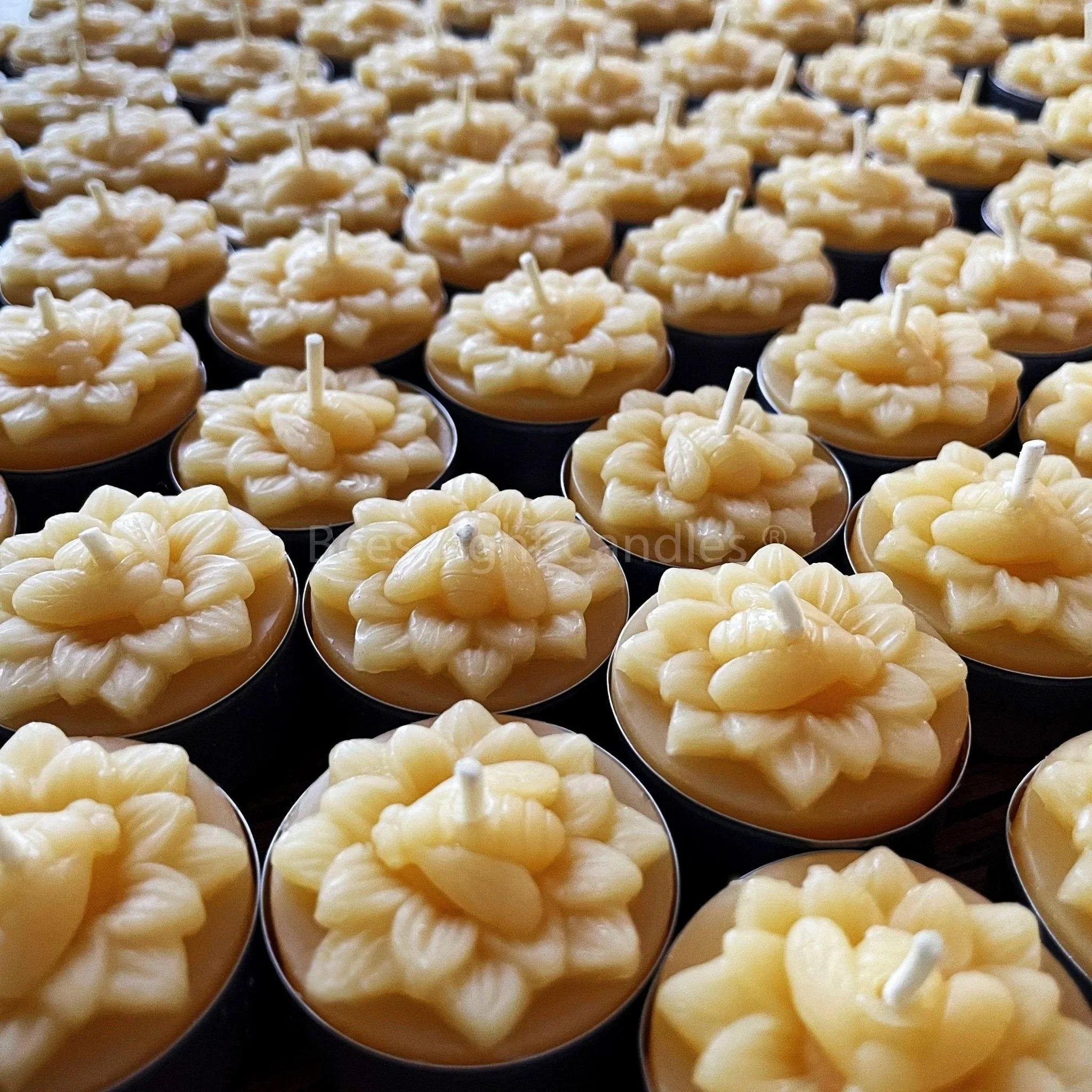 Honeybee Flower Beeswax Tealight Candles - BIG FRENCHIES