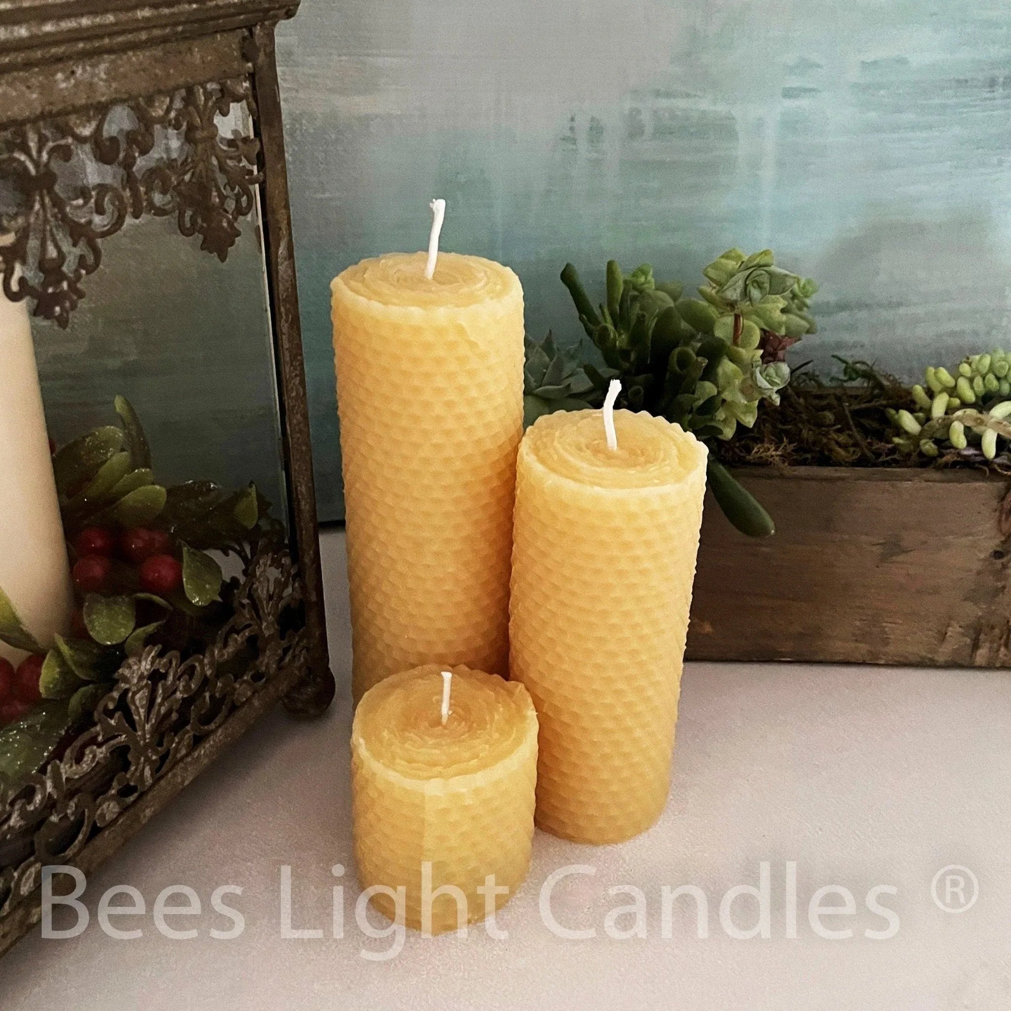 Honeycomb Beeswax Pillar Candles Rolled Design - BIG FRENCHIES