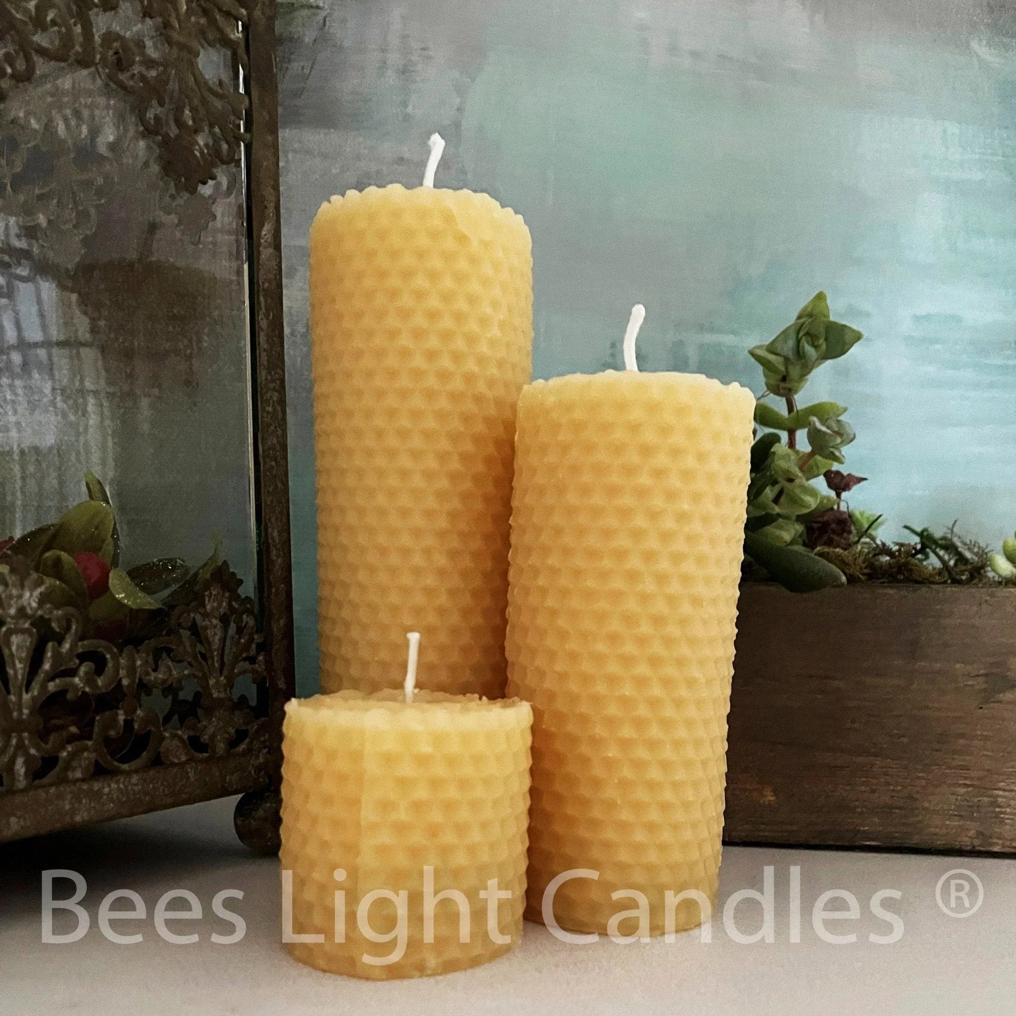 Honeycomb Beeswax Pillar Candles Rolled Design - BIG FRENCHIES