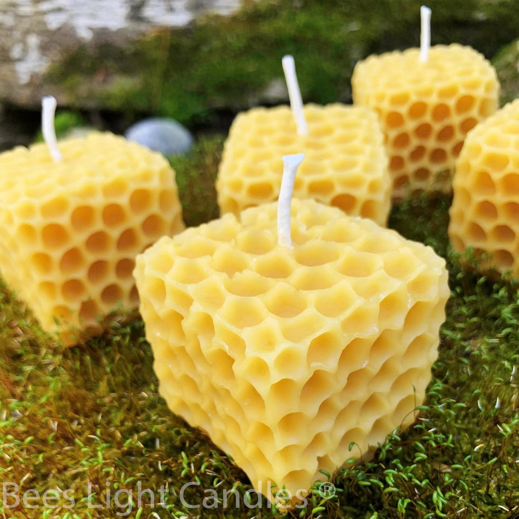 Honeycomb Cube Beeswax Candle - BIG FRENCHIES