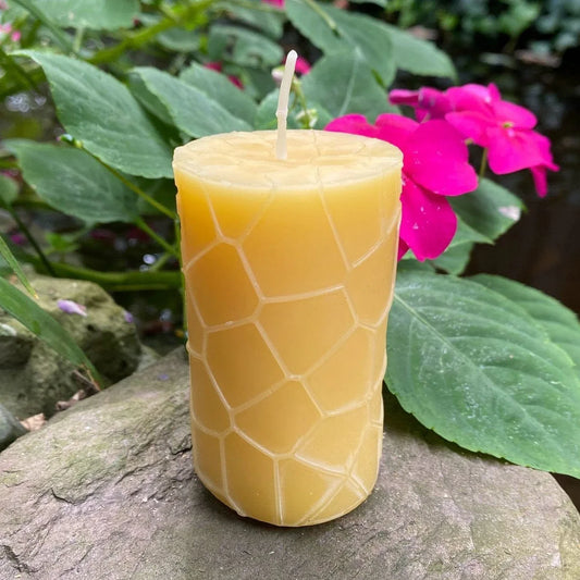 Honeycomb Pattern Beeswax Pillar Candle - BIG FRENCHIES