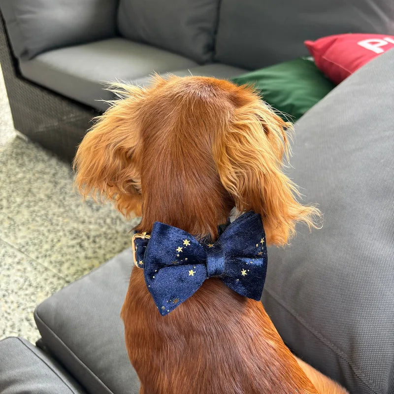 Personalized Dark Blue Velvet Classic Set