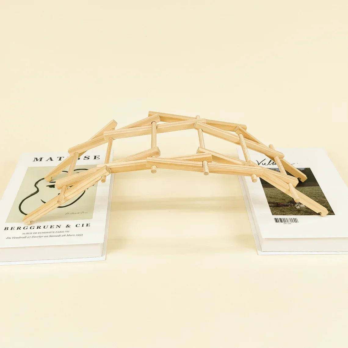 Da Vinci's Bridge DIY Kit, Educational STEM Toy - BIG FRENCHIES