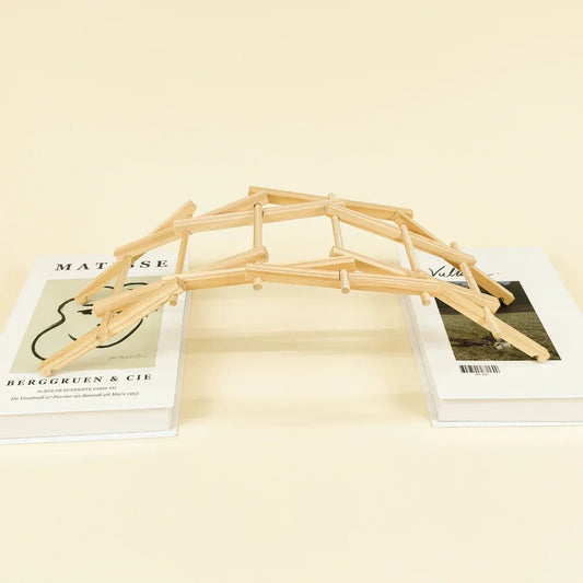 Da Vinci's Bridge DIY Kit, Educational STEM Toy - BIG FRENCHIES