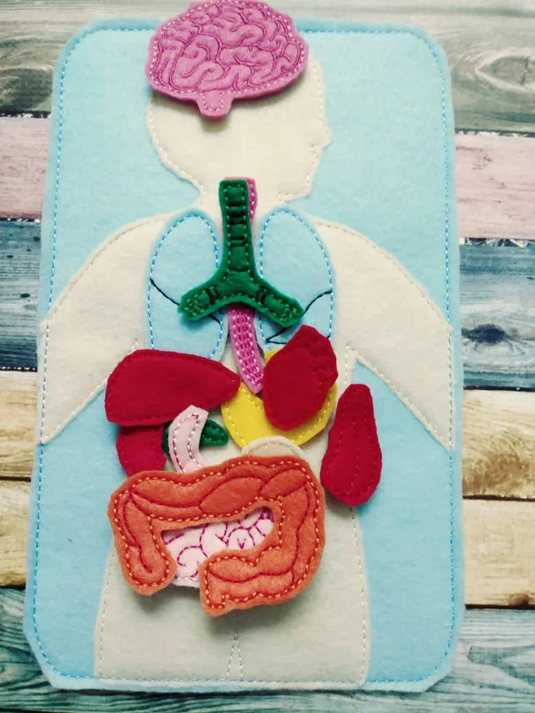 Anatomy board - felt board with 15 organ pieces - learning board - Medical Play Set - human body - busy board - quiet book page - activity - BIG FRENCHIES