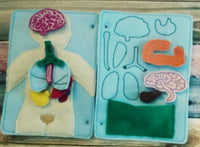 Anatomy board - anatomy quiet book page - 10 organ pieces - learning board - Medical Play Set - human body - busy board - quiet book page - BIG FRENCHIES