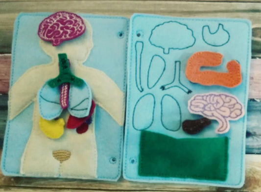 Anatomy board - anatomy quiet book page - 10 organ pieces - learning board - Medical Play Set - human body - busy board - quiet book page - BIG FRENCHIES