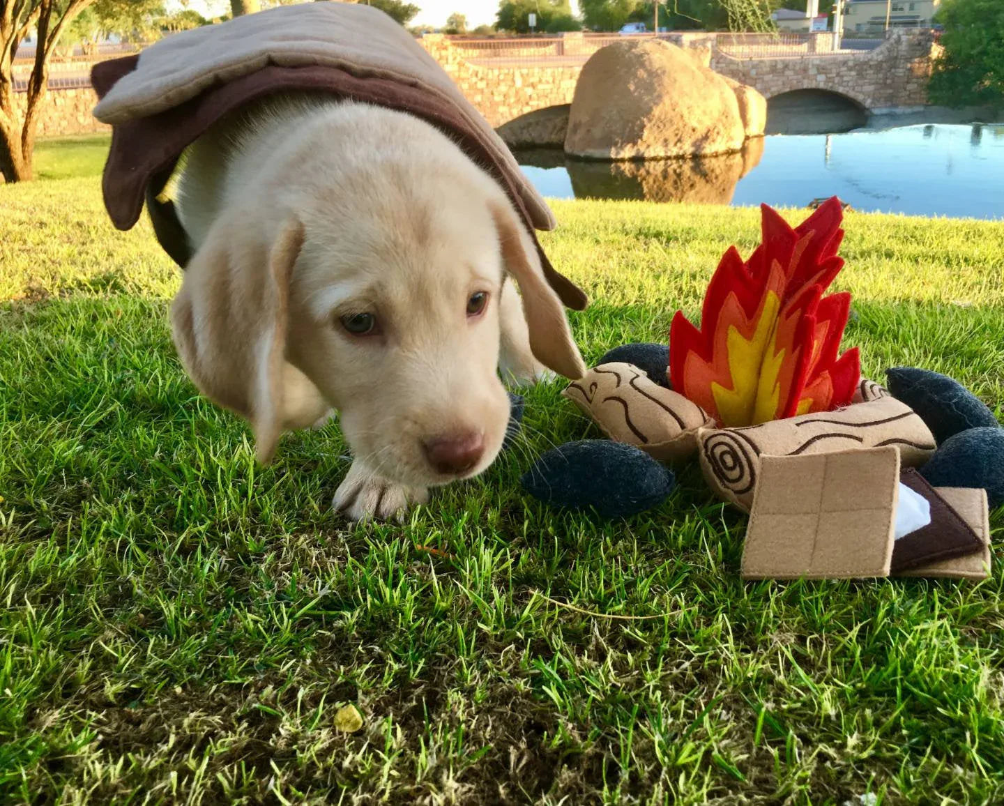 Felt Campfire Play Set, Kids Pretend Play Toy, Unique Birthday Gift
for Children - BIG FRENCHIES