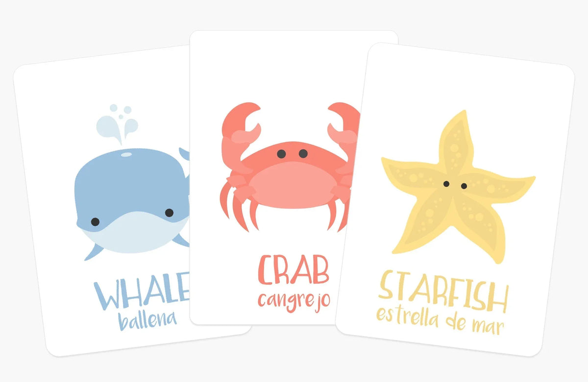 Sea Animals Flashcards - BIG FRENCHIES