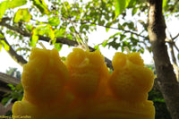 Three Wise Owls Beeswax Candles - BIG FRENCHIES