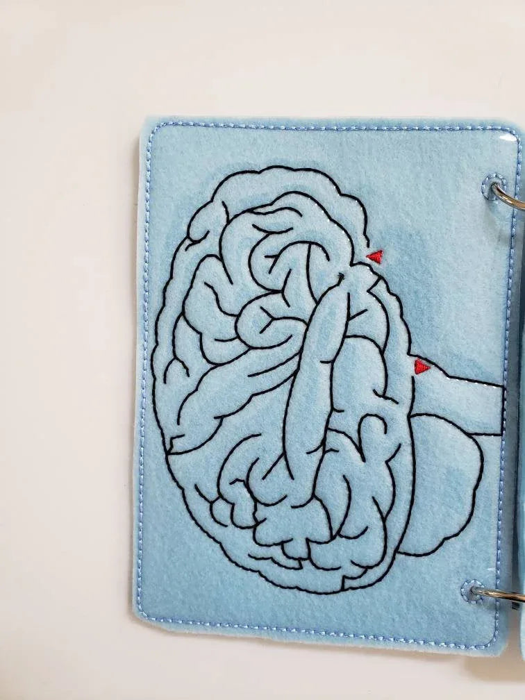 Human Brain puzzle quiet book page - brain maze - learning board - Medical Play Set - human body - busy board education - BIG FRENCHIES