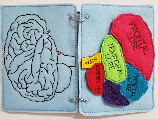 Human Brain puzzle quiet book page - brain maze - learning board - Medical Play Set - human body - busy board education - BIG FRENCHIES