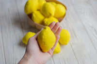 Lemon felt fruit - BIG FRENCHIES