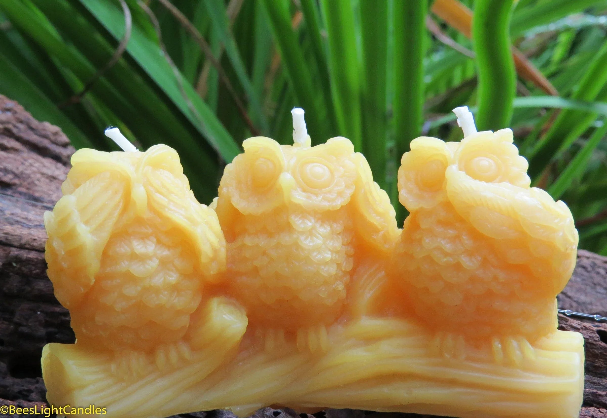 Three Wise Owls Beeswax Candles - BIG FRENCHIES