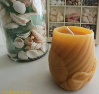 Sea Shell Beeswax Candle - BIG FRENCHIES