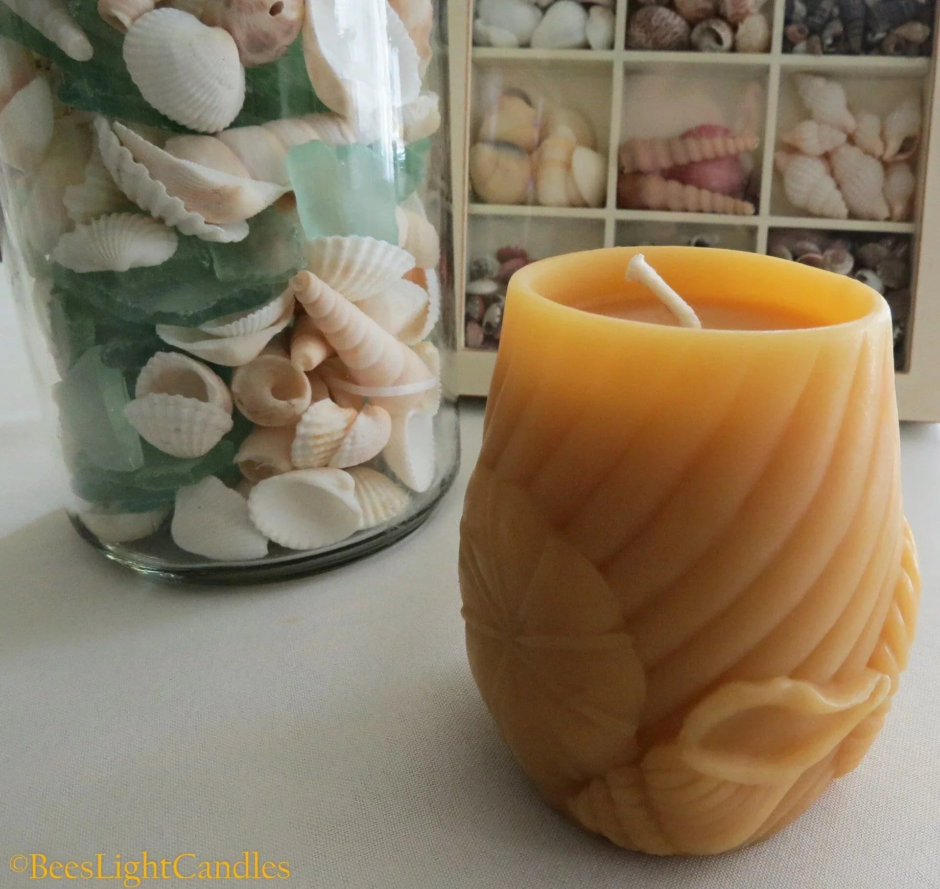 Sea Shell Beeswax Candle - BIG FRENCHIES