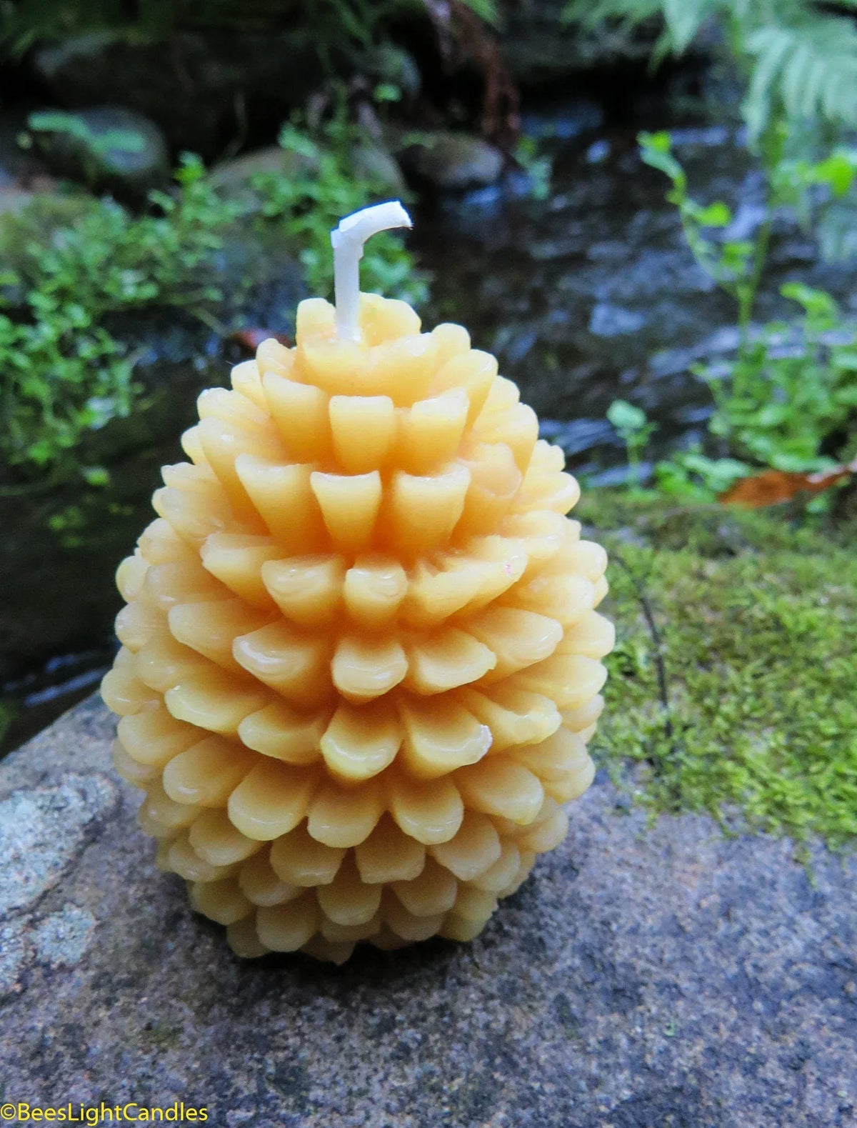 Pinecone Beeswax Candles Bulk - BIG FRENCHIES