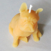 Puppy Dog Beeswax Candle - BIG FRENCHIES