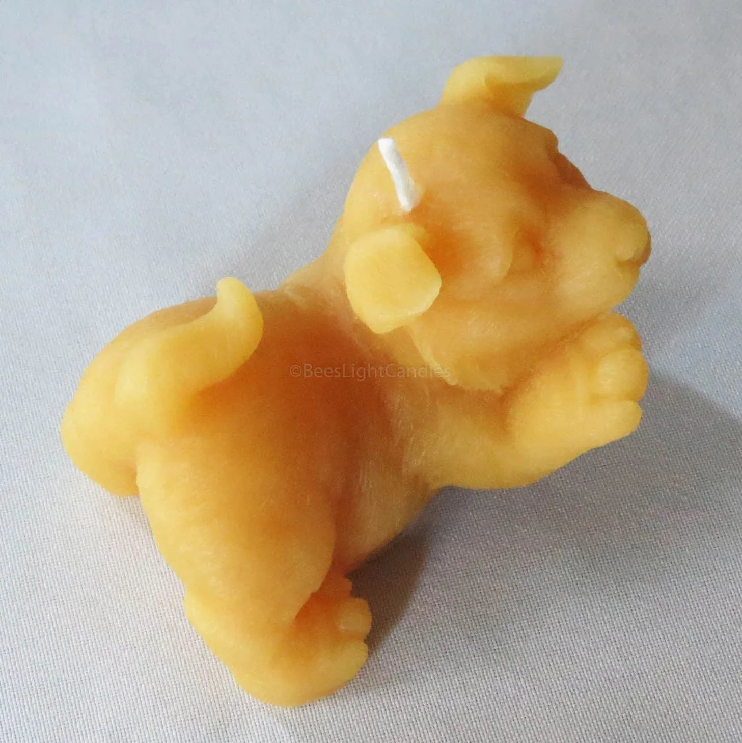 Puppy Dog Giving Paw Beeswax Candle - BIG FRENCHIES