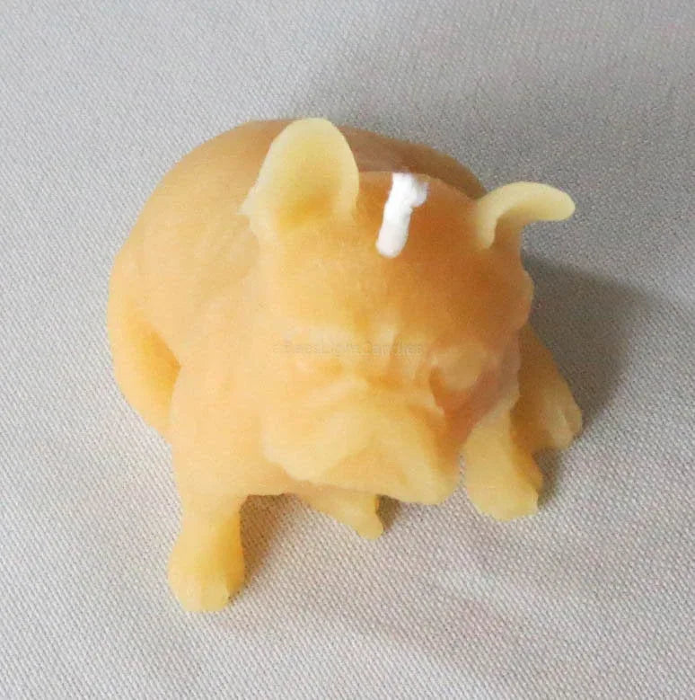 Puppy Dog Beeswax Candle - BIG FRENCHIES