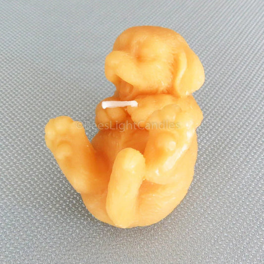 Puppy Dog Laying Down Beeswax Candle - BIG FRENCHIES