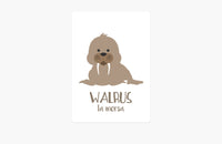 Arctic Animals Flashcards