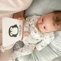 Arctic Animals Flashcards