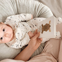 Arctic Animals Flashcards