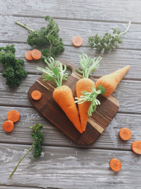 Carrot play food, felt food vegetables - BIG FRENCHIES