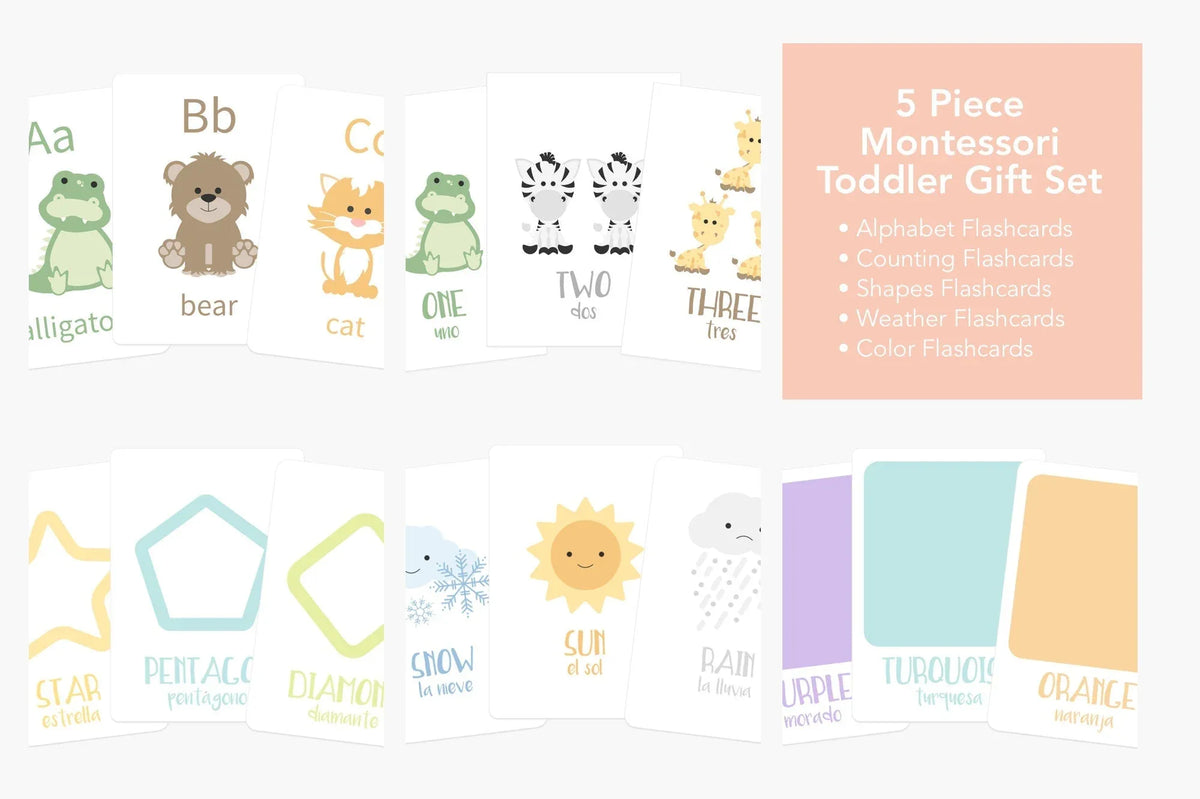 Montessori Flashcards Basics Bundle - BIG FRENCHIES