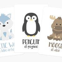 Arctic Animals Flashcards