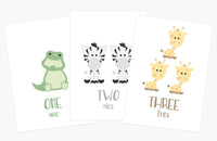 Montessori Flashcards Basics Bundle