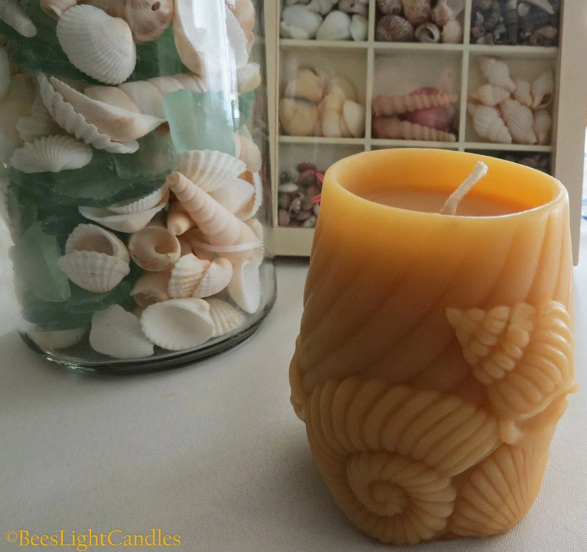 Sea Shell Beeswax Candle - BIG FRENCHIES