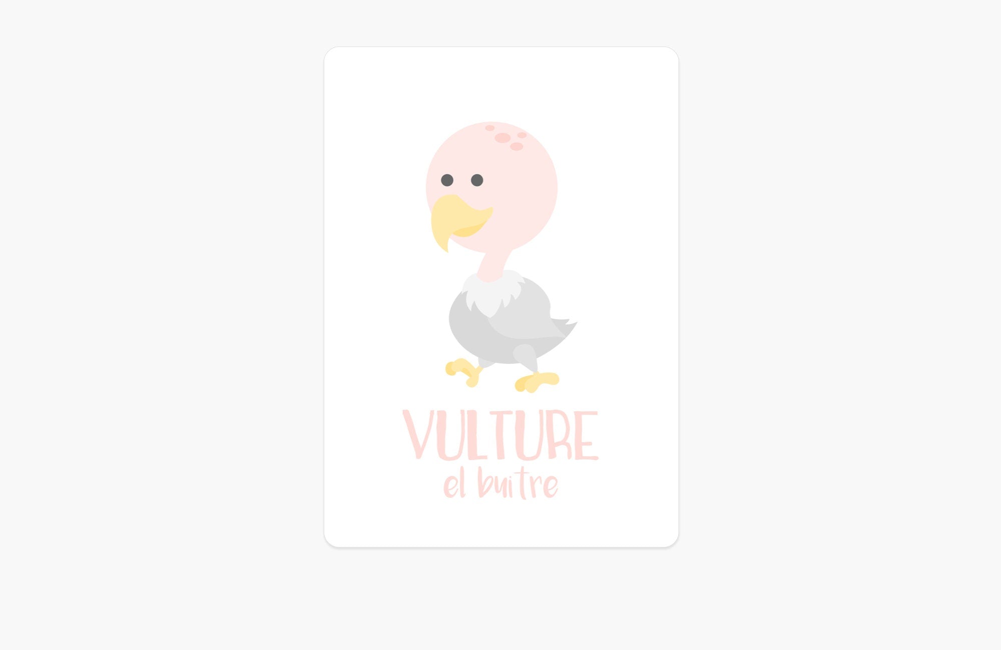 Desert Animal Flashcards