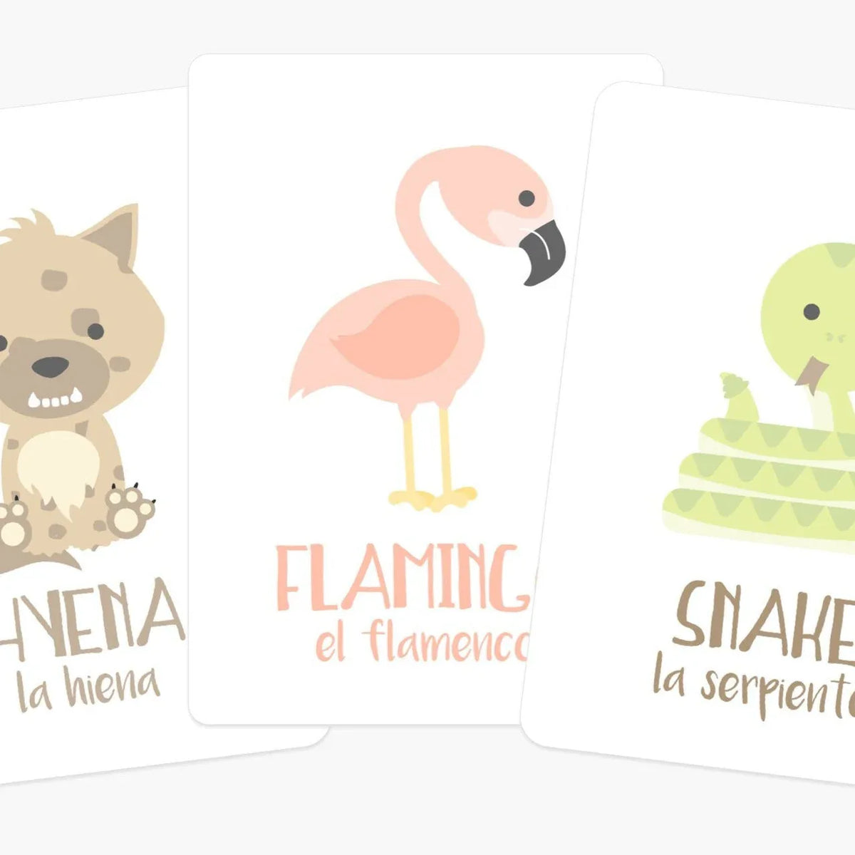 Desert Animal Flashcards - BIG FRENCHIES