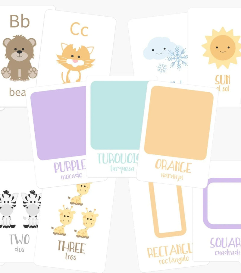 Montessori Flashcards Basics Bundle - BIG FRENCHIES