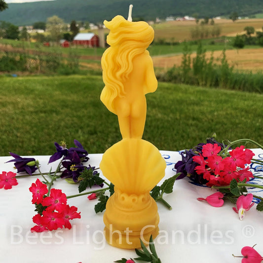 Girl with Shell Beeswax Candle - BIG FRENCHIES