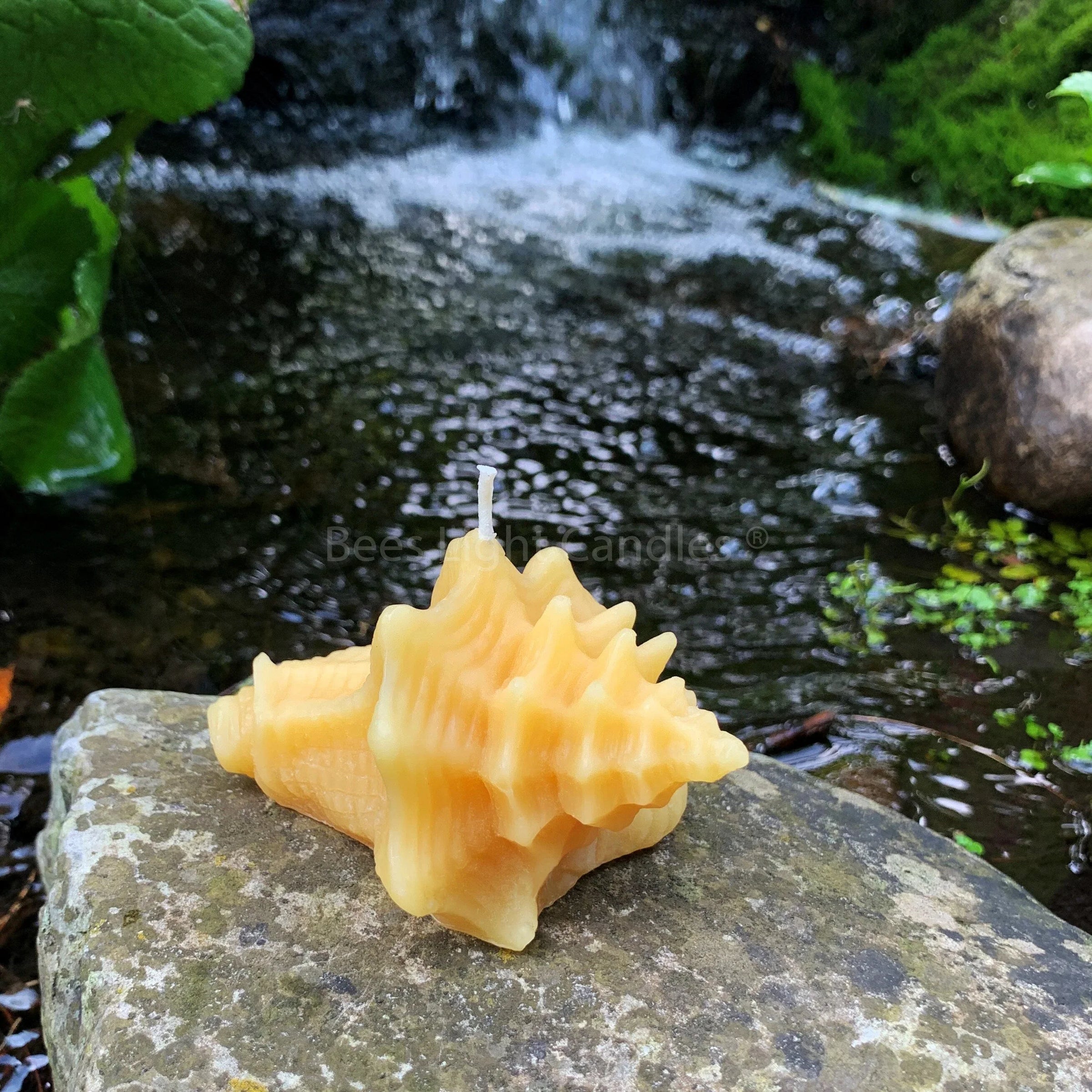 Conch Shell Beeswax Candle - BIG FRENCHIES
