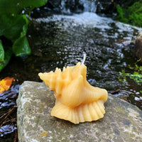 Conch Shell Beeswax Candle - BIG FRENCHIES
